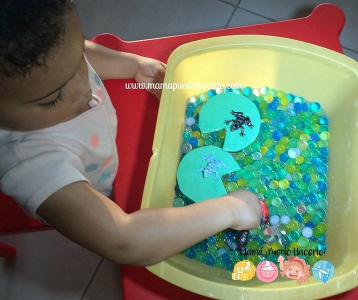 Caja Sensorial de Ranas