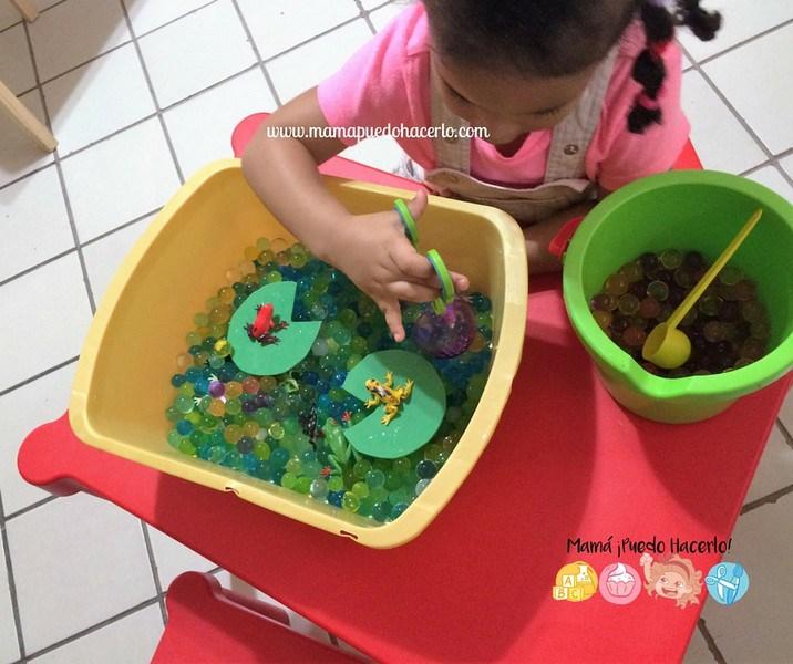 Caja Sensorial de Ranas 