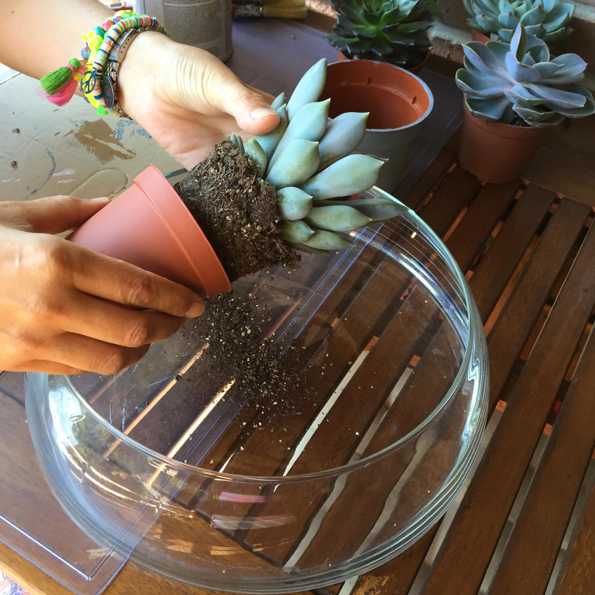 quitamos el tiesto para decorarlo