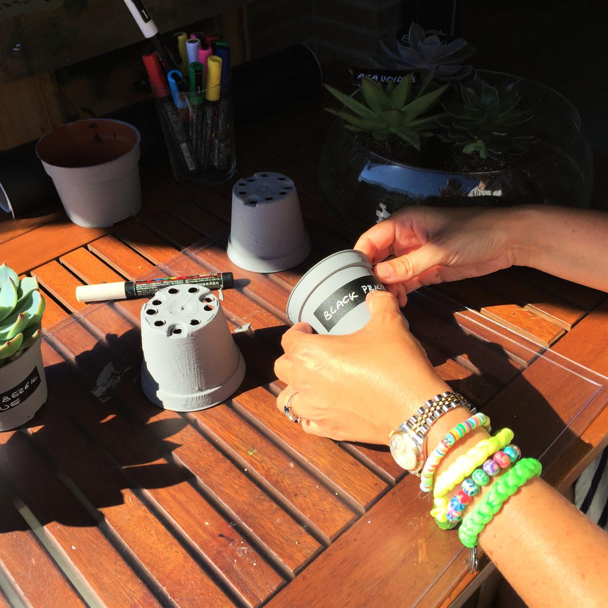 colocamos las etiquetas con los nombres