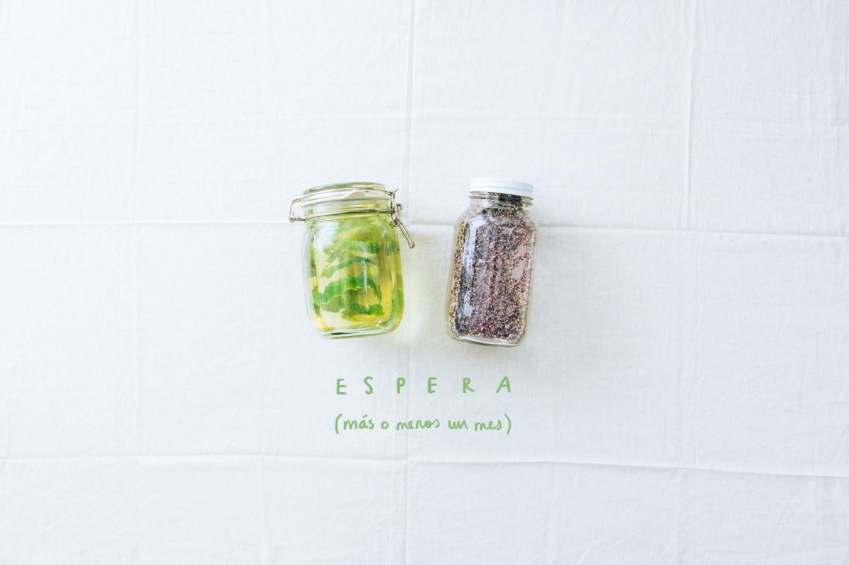 Vinagre aromatizado DIY proceso