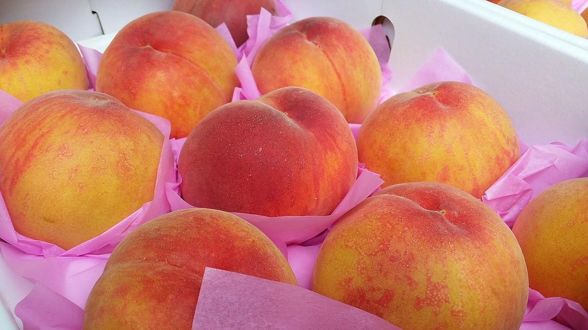 peach-415370_1280