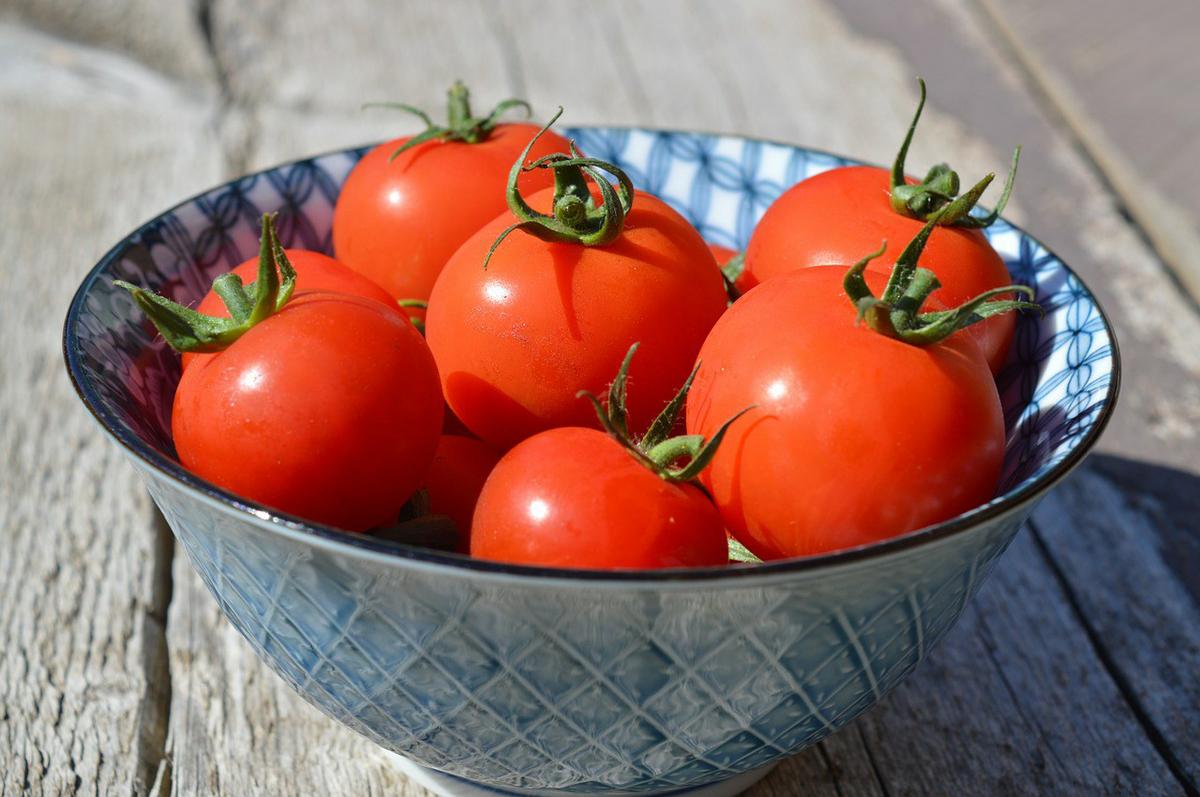 tomatoes-1449243_1280
