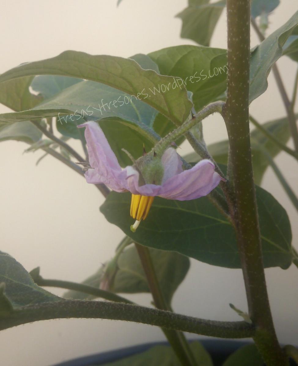 PicsArt_08-03-12.44.21