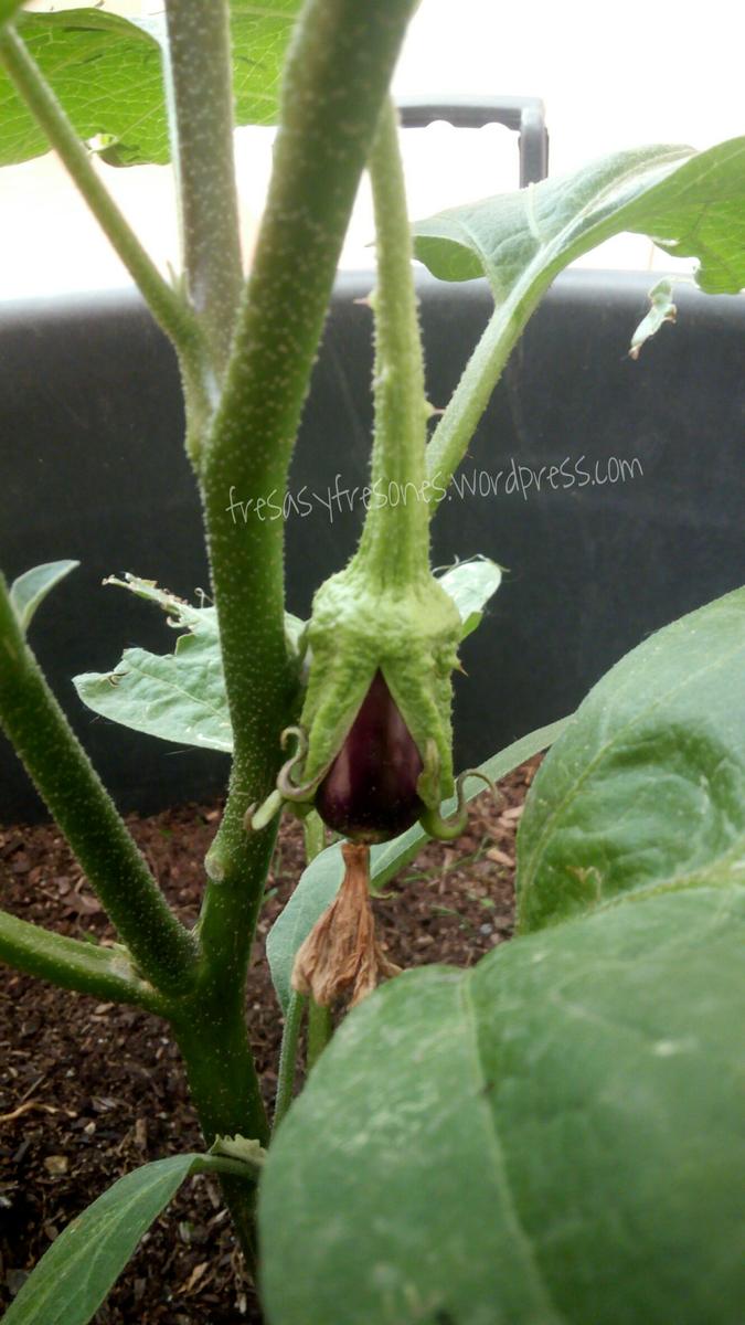 PicsArt_08-03-12.47.55