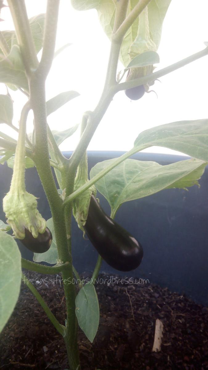 PicsArt_08-03-12.43.22