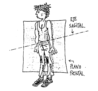 eje sagital plano frontal