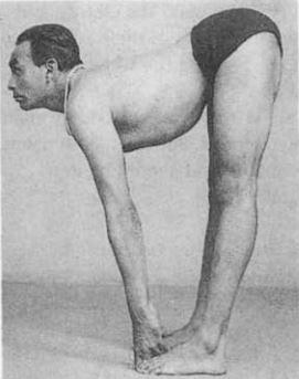 Paso intermedio de la Padangusthasana