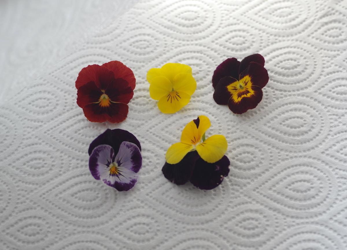 doctorcookies galletas flor comestible edible flower cookies (1)