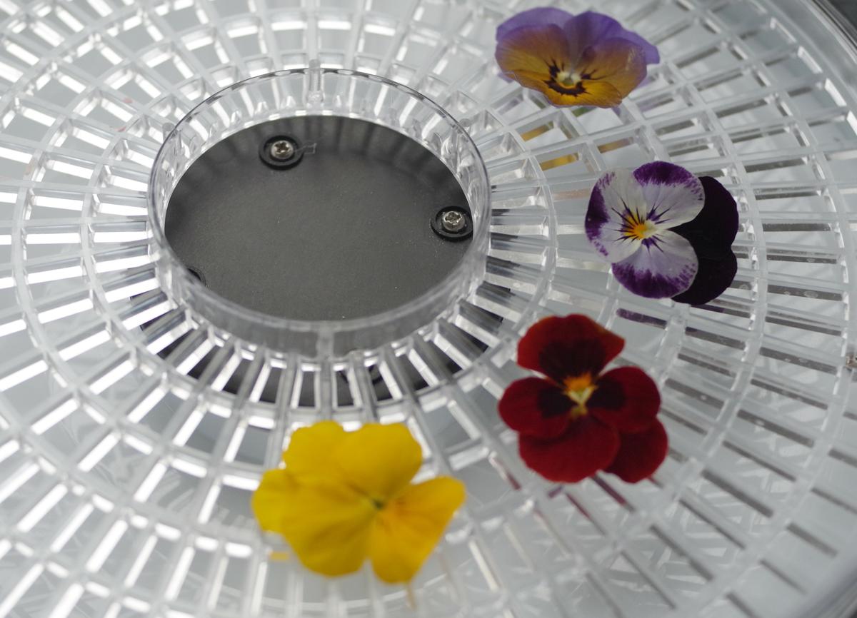 doctorcookies galletas flor comestible edible flower cookies (2)