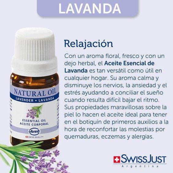 Lavanda. Propiedades, usos y contraindicaciones
