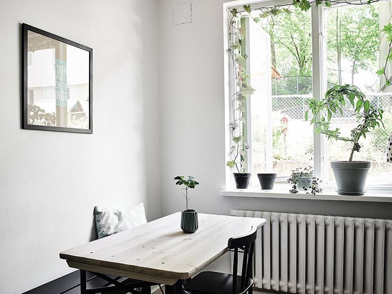 decoracion-plantas