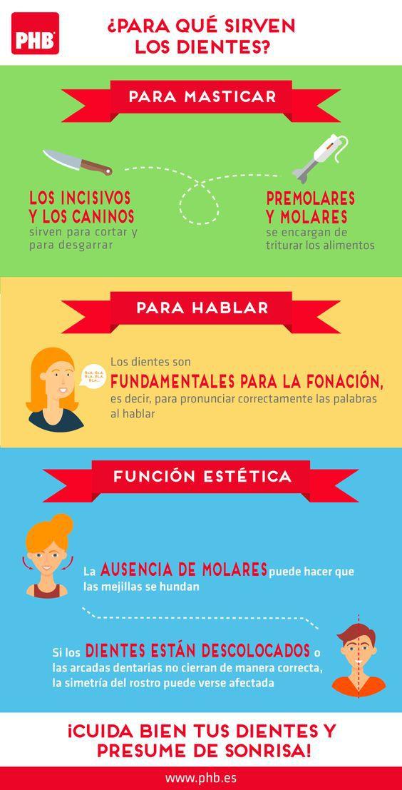 Para qué sirven los dientes