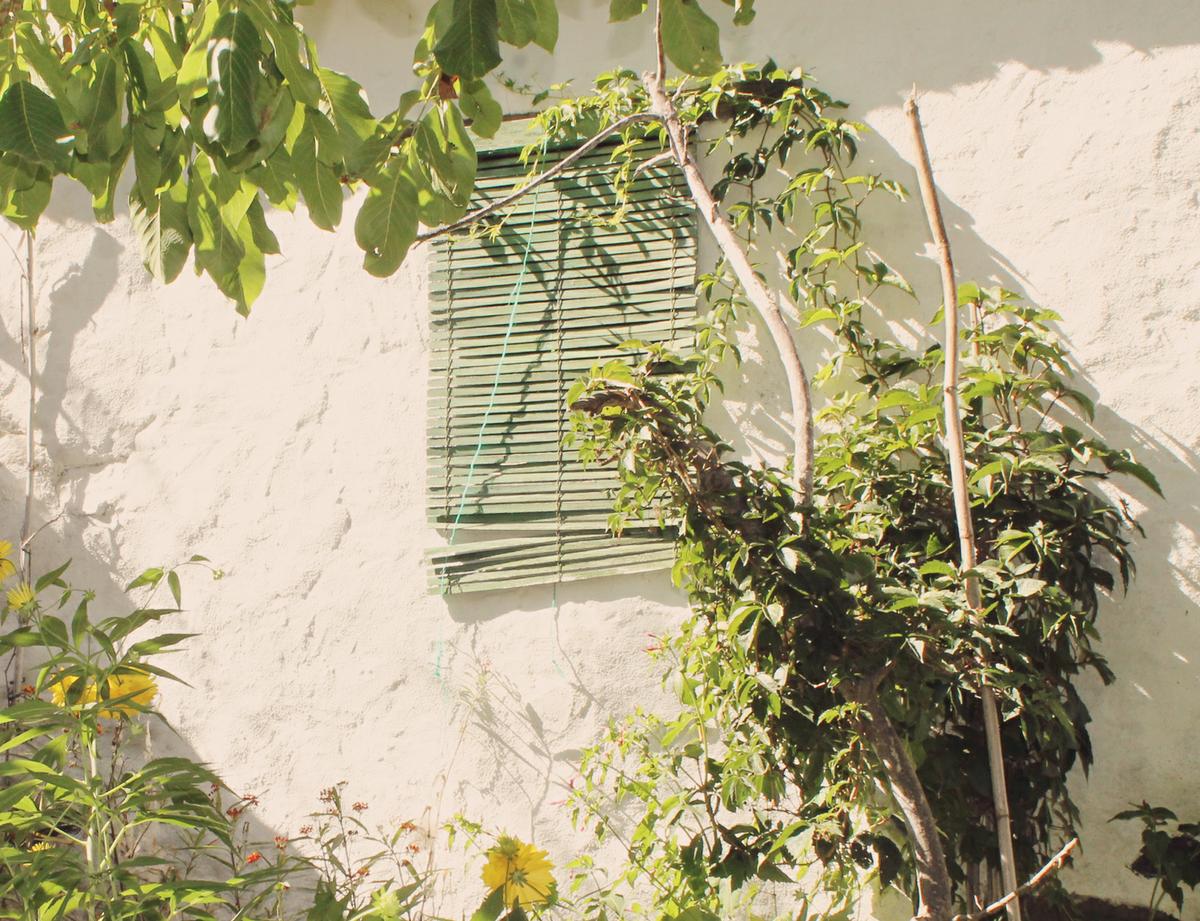 voluntariado-agricola-detalle-granja-spain-greenisawayoflife-photo-muakstudio