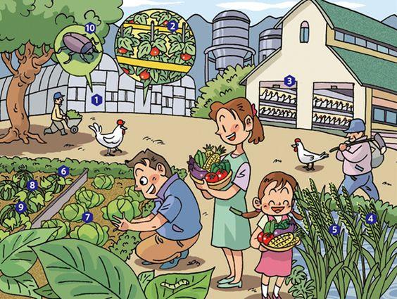 Recogiendo hortalizas en familia