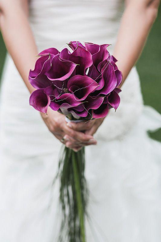 46e5d912140293afba2e009415a67dc6