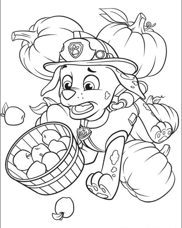 bomberos patrulla canina para colorear