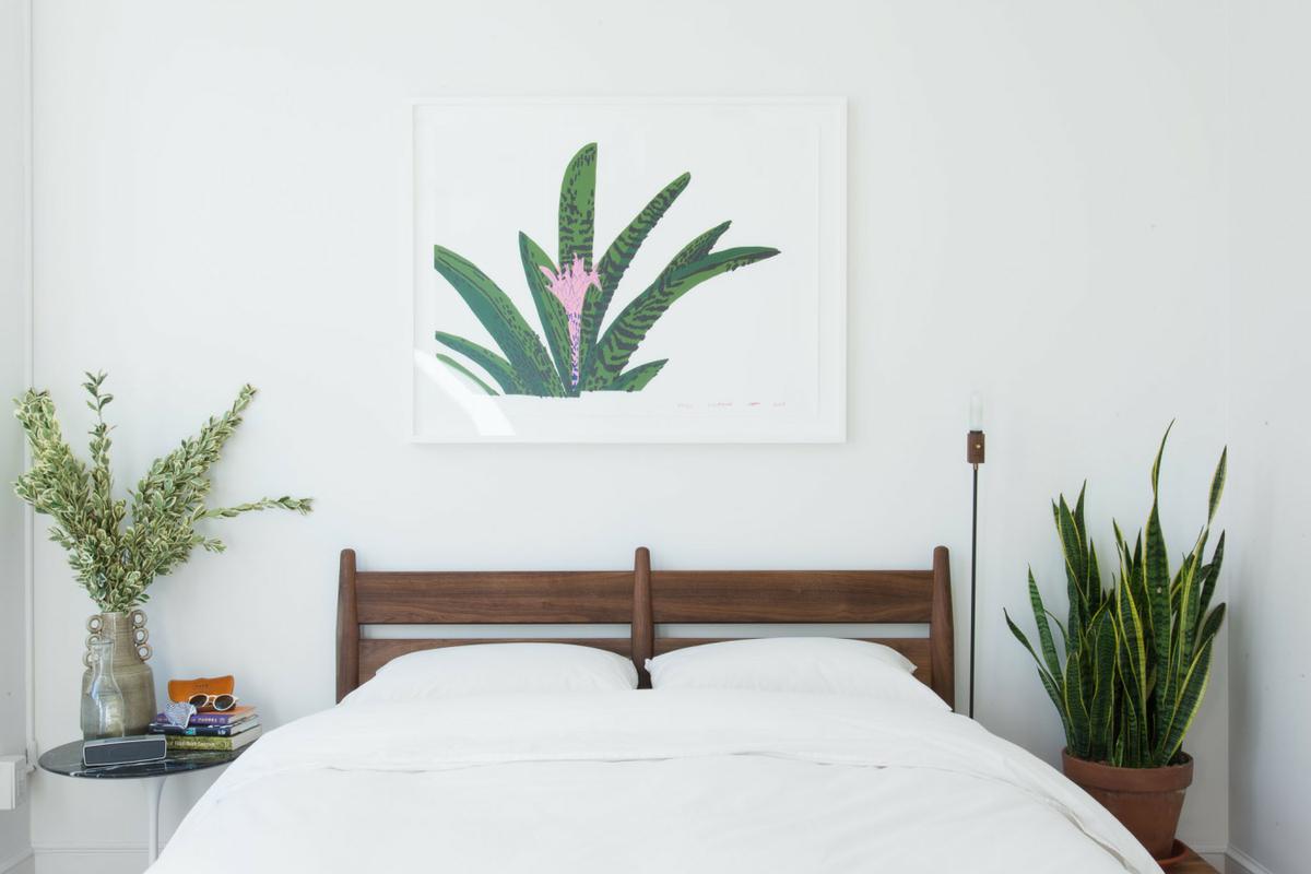 decoracion con plantas