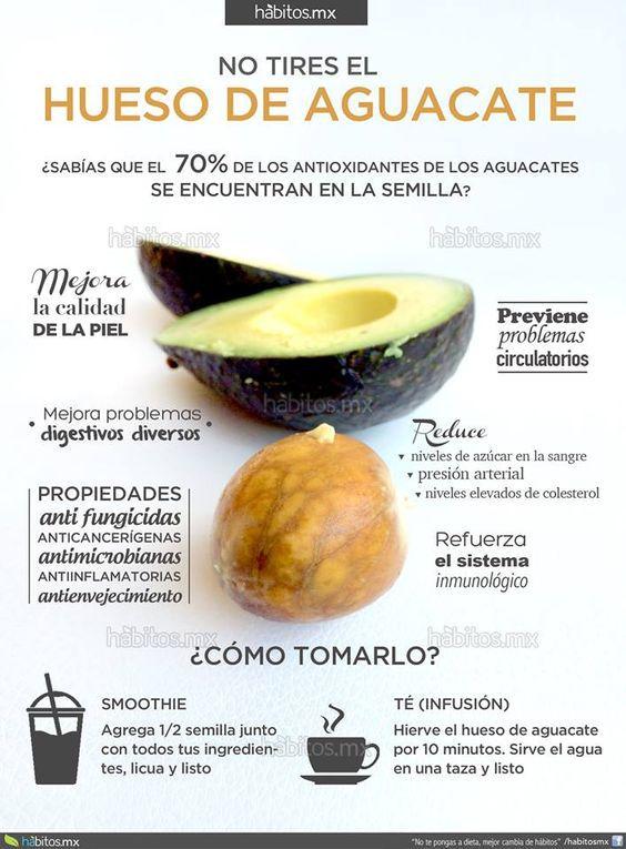 Hueso del aguacate