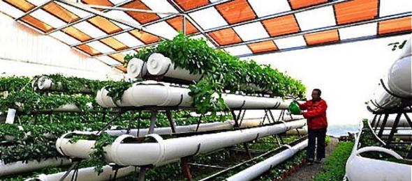 construccion de techos para invernadero