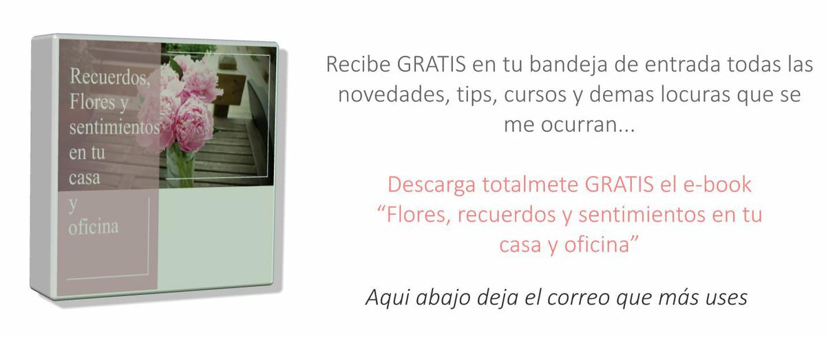 e-book gratis al suscribirse a gabrielacastelo.com