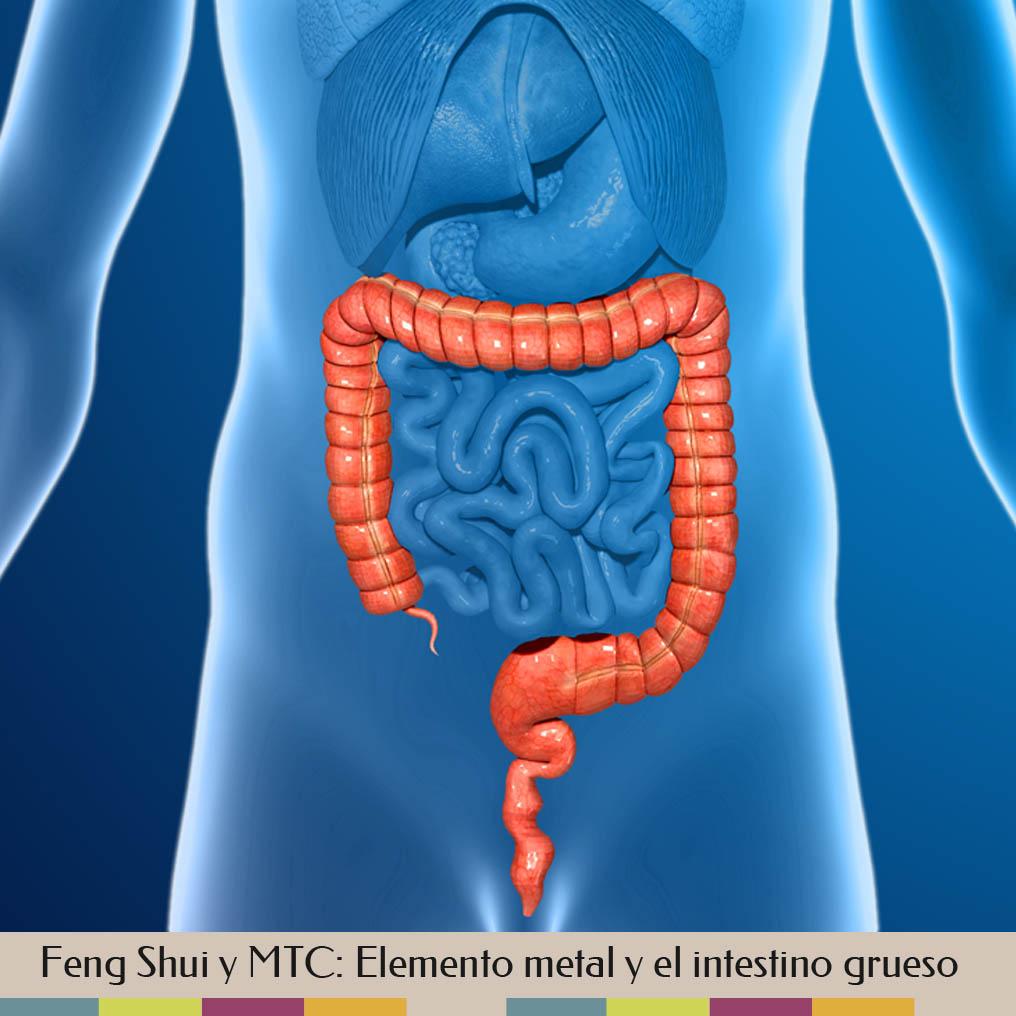Feng Shui y MTC, elemento metal y el intestino grueso