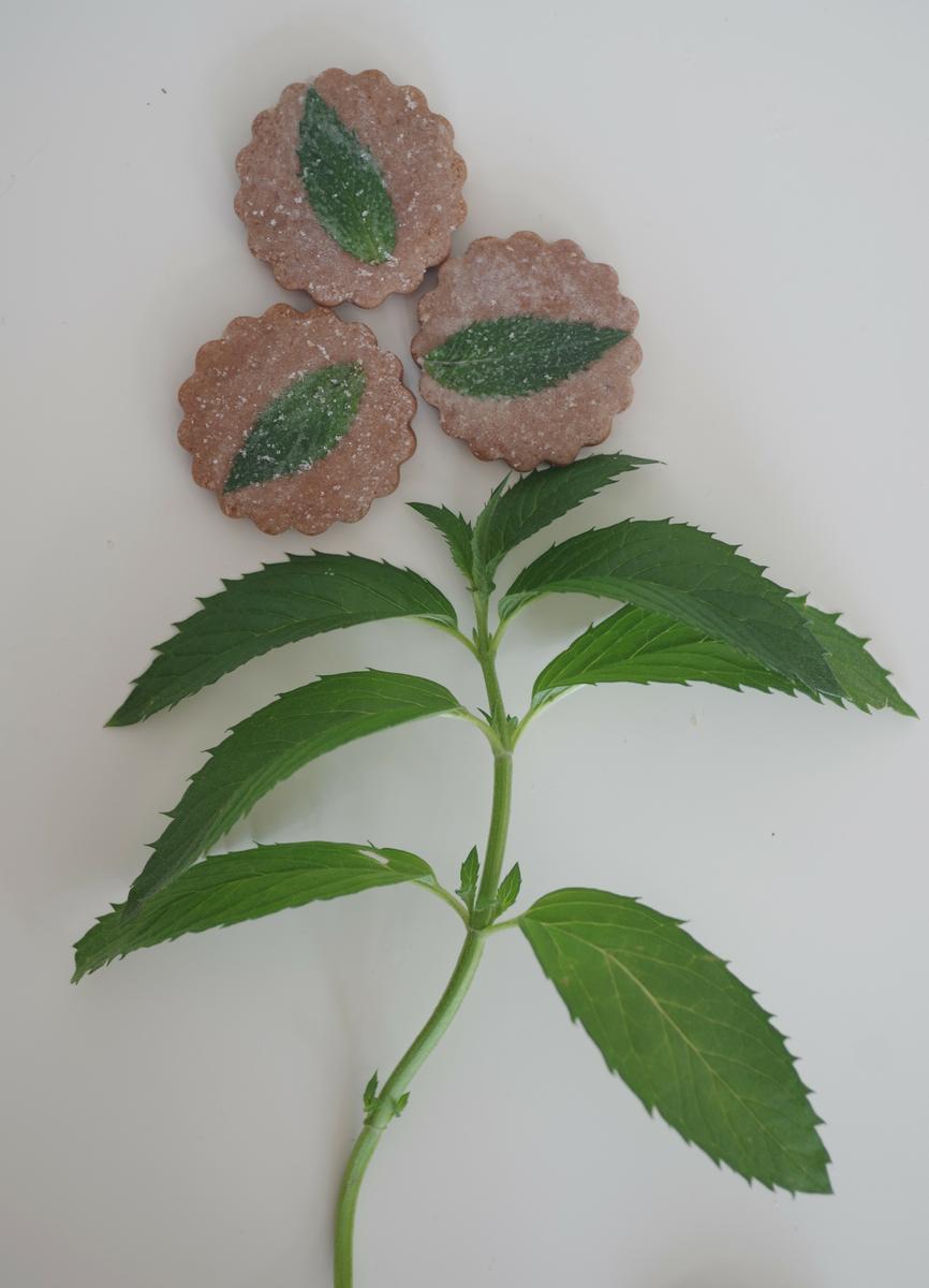 doctorcookies cómo petrificar flor y hoja comestible (21)