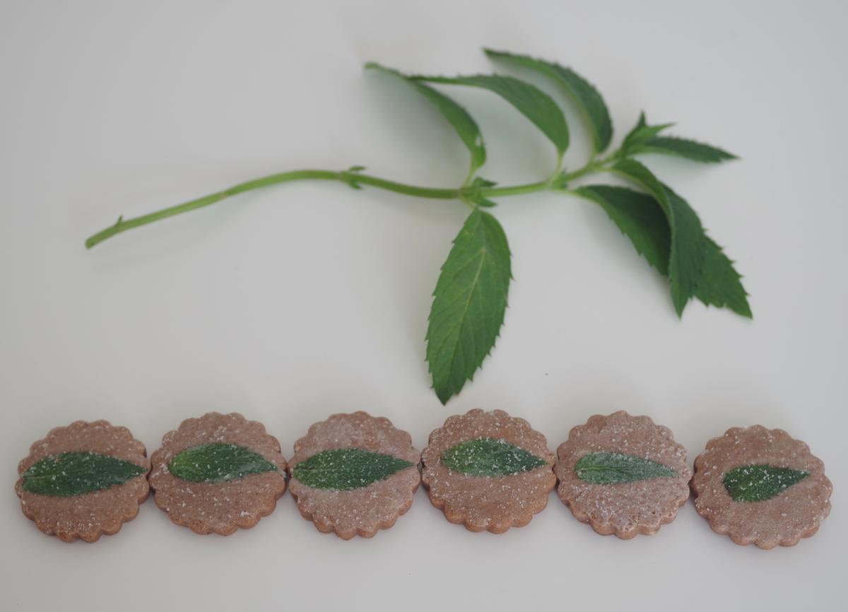 doctorcookies cómo petrificar flor y hoja comestible (22)