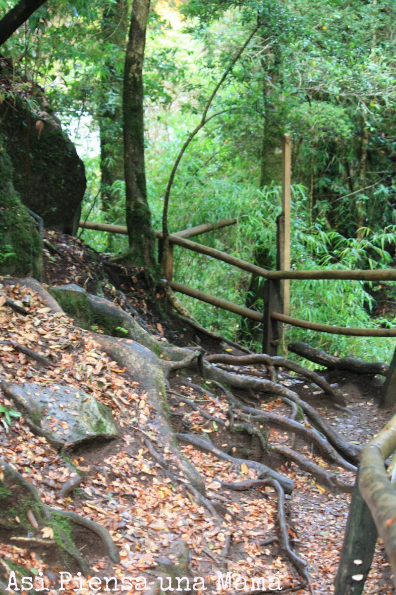 escaleras-naturales-caburga