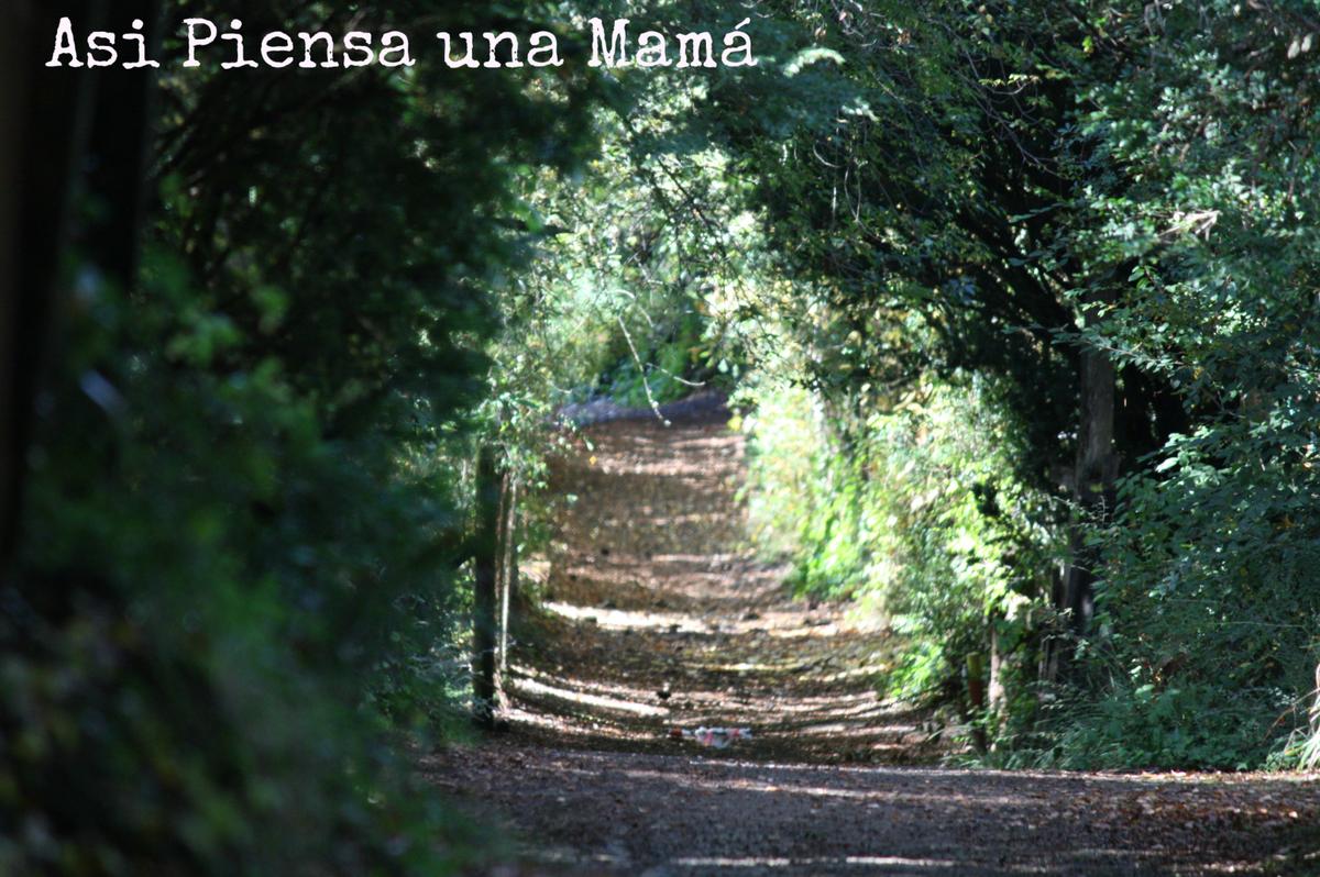 puertasnaturales-caburga