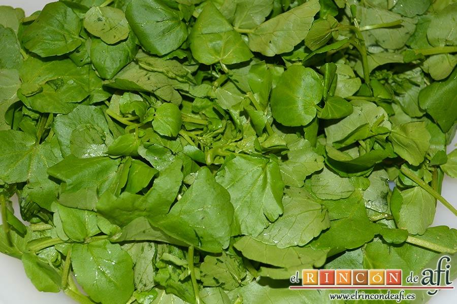 Crema de berros con queso, tomate y aguacate para untar en sandwiches, lavar los berros y retirarles los tallos gruesos