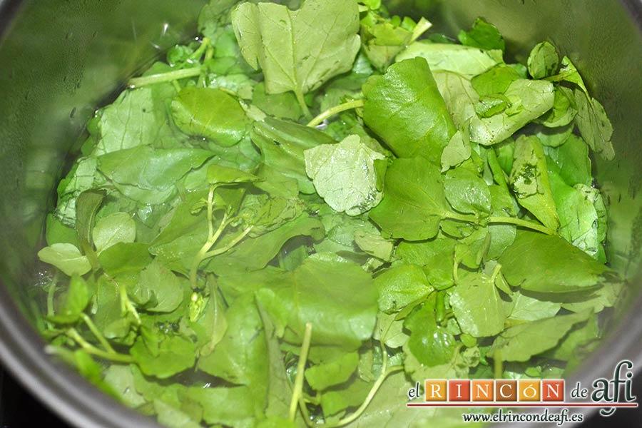 Crema de berros con queso, tomate y aguacate para untar en sandwiches, introducirlos en agua hirviendo 3-4 minutos