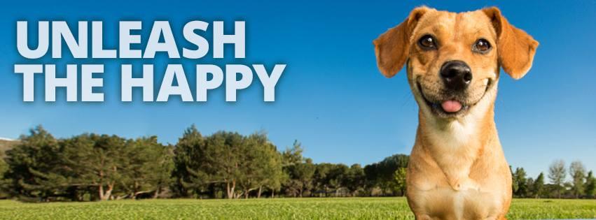 Los millonarios más jóvenes de Silicon Valley