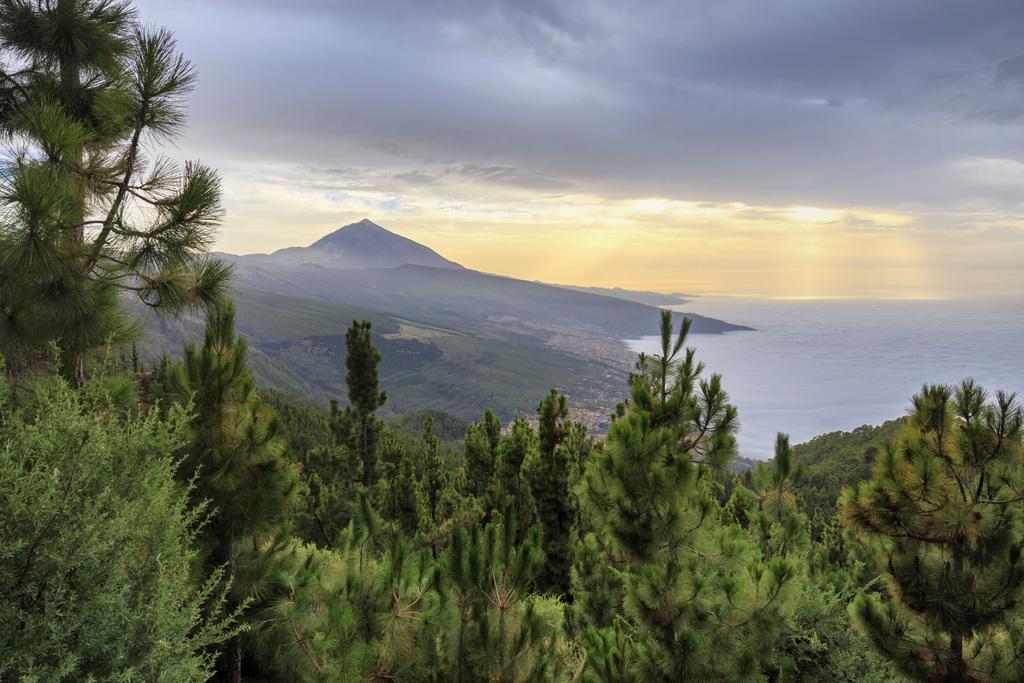 curso_fotografia_tenerife_agosto_2016_11
