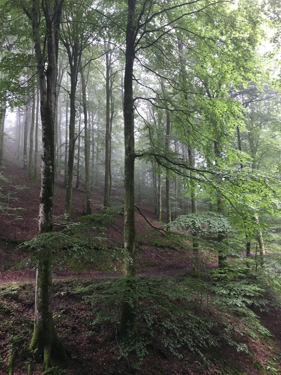 embalsesdeleurtza-hayas