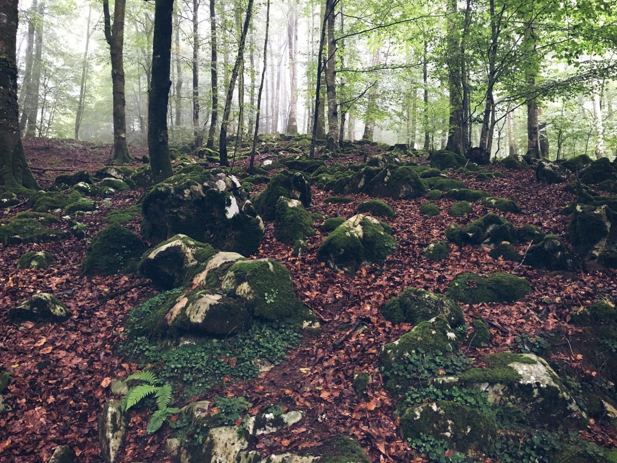 embalsesdeleurtza-piedras