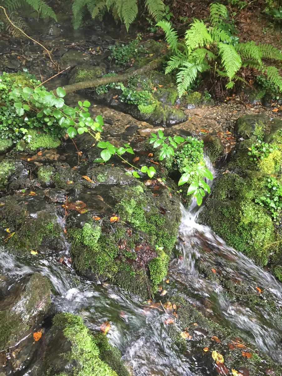 embalsesdeleurtza-rio