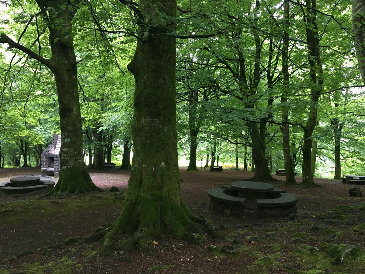 embalsesdeleurtza-merendero