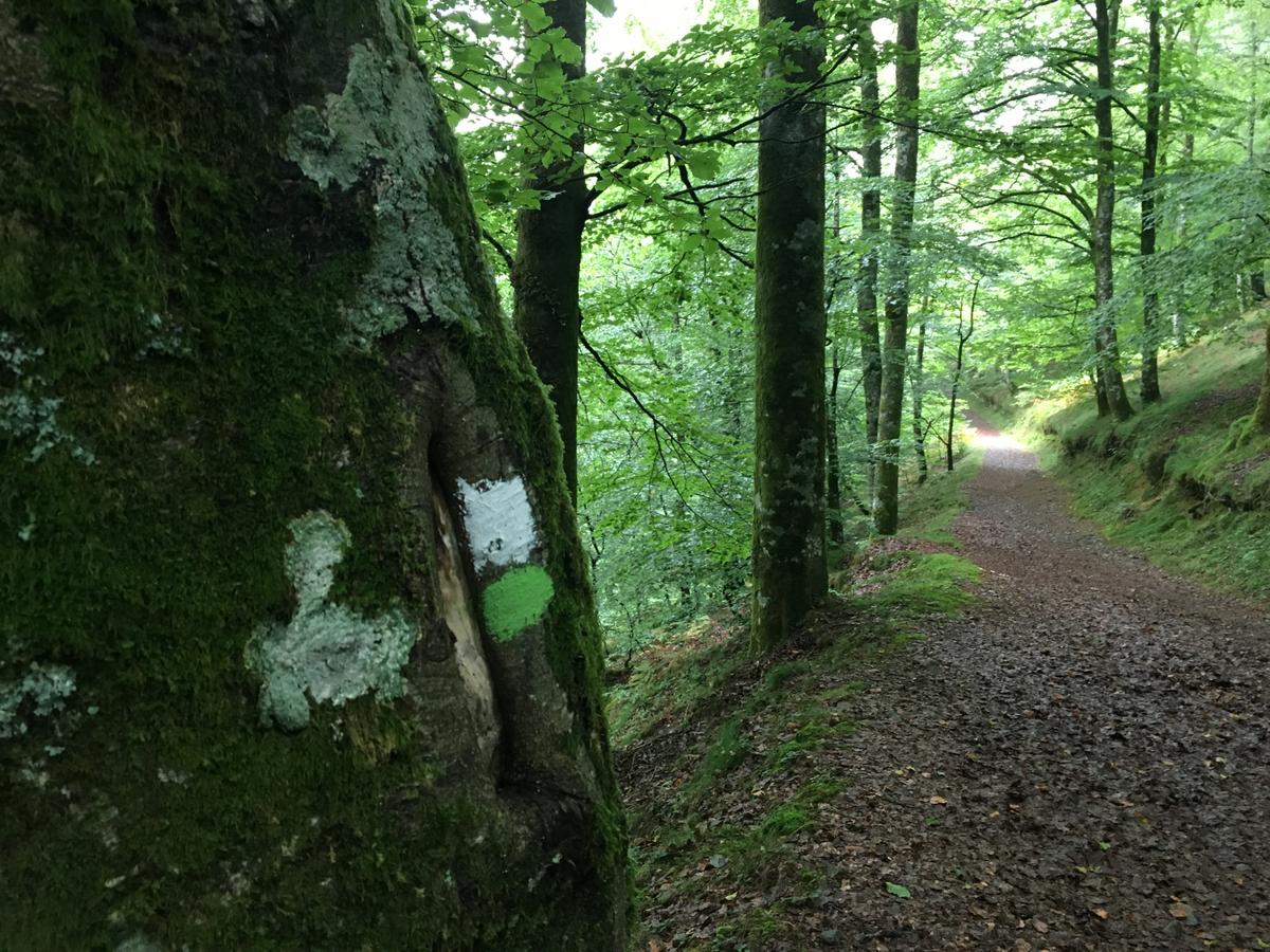 embalsesdeleurtza-señales