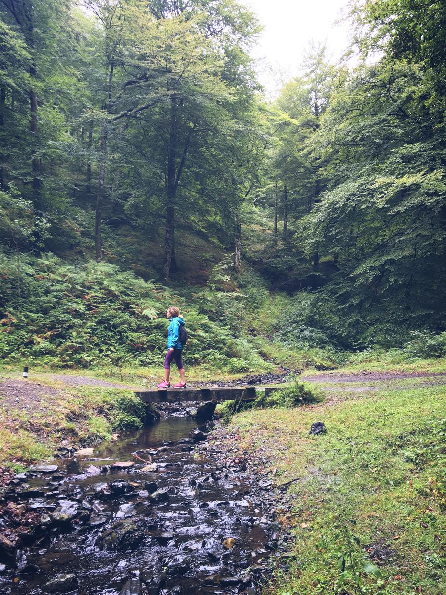 embalsesdeleurtza-lore