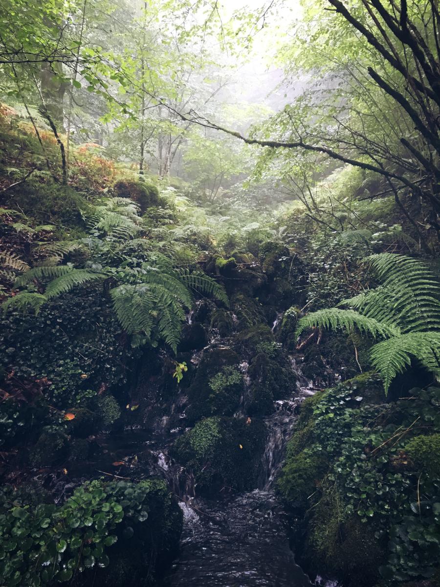 embalsesdeleurtza-riachuelo