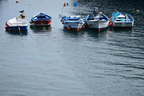AYS-BARCOS CUDILLERO ASTURIAS - 4