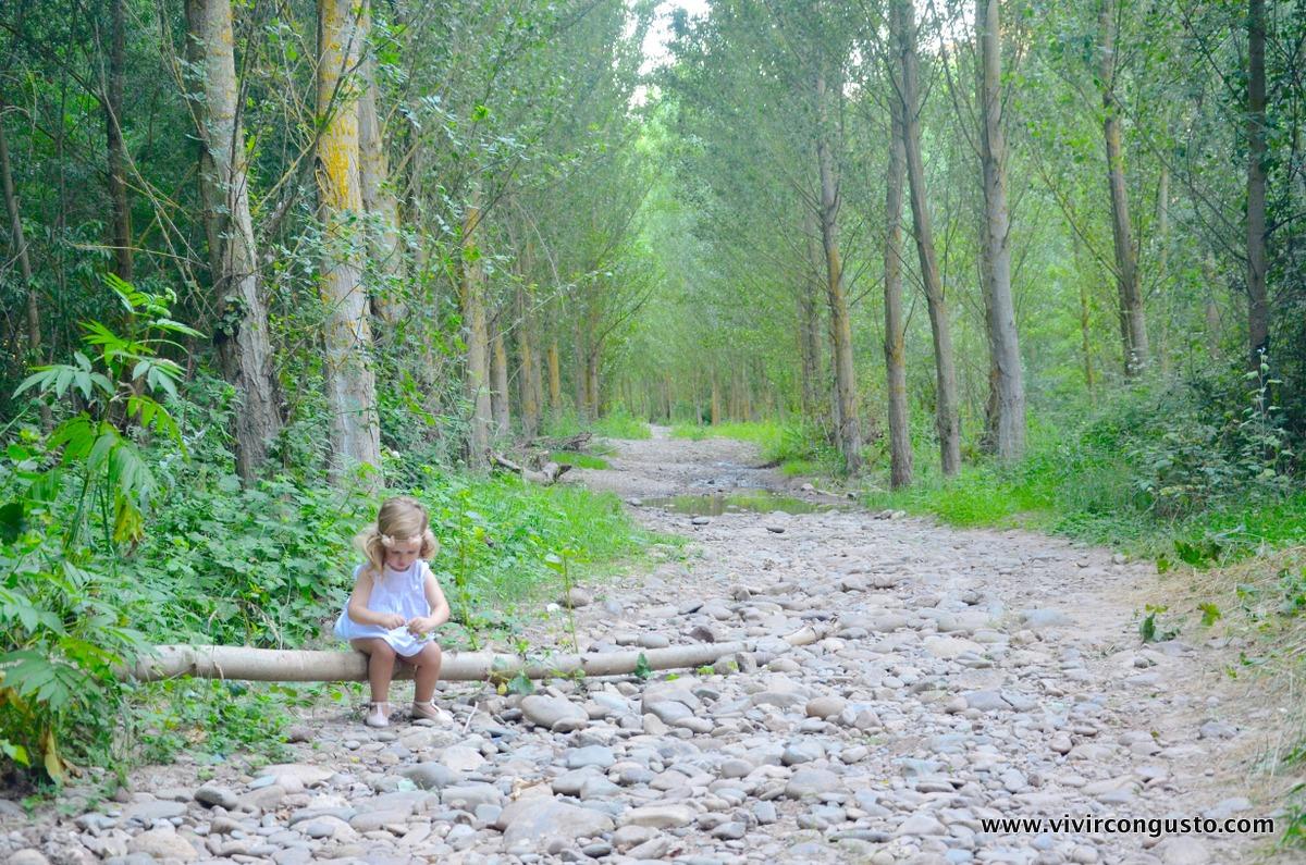 1607.Tul y Pompon blanco - 33 de 42