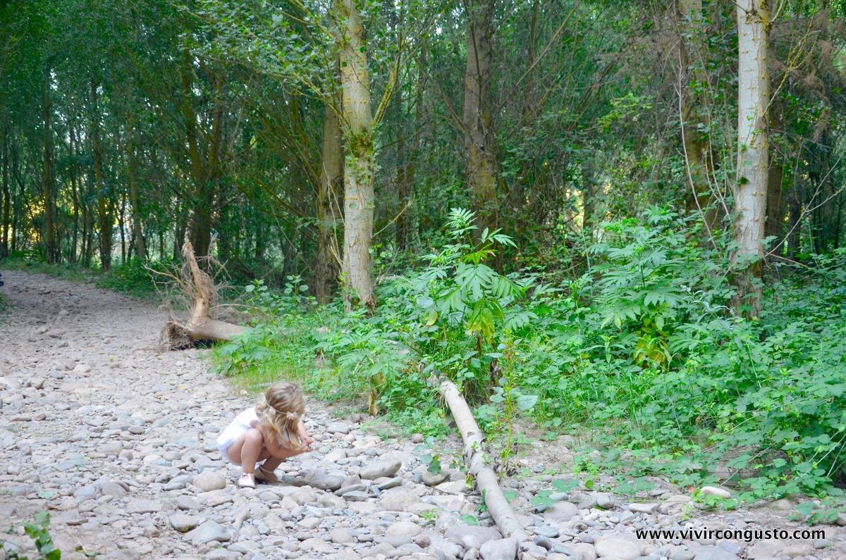 1607.Tul y Pompon blanco - 32 de 42