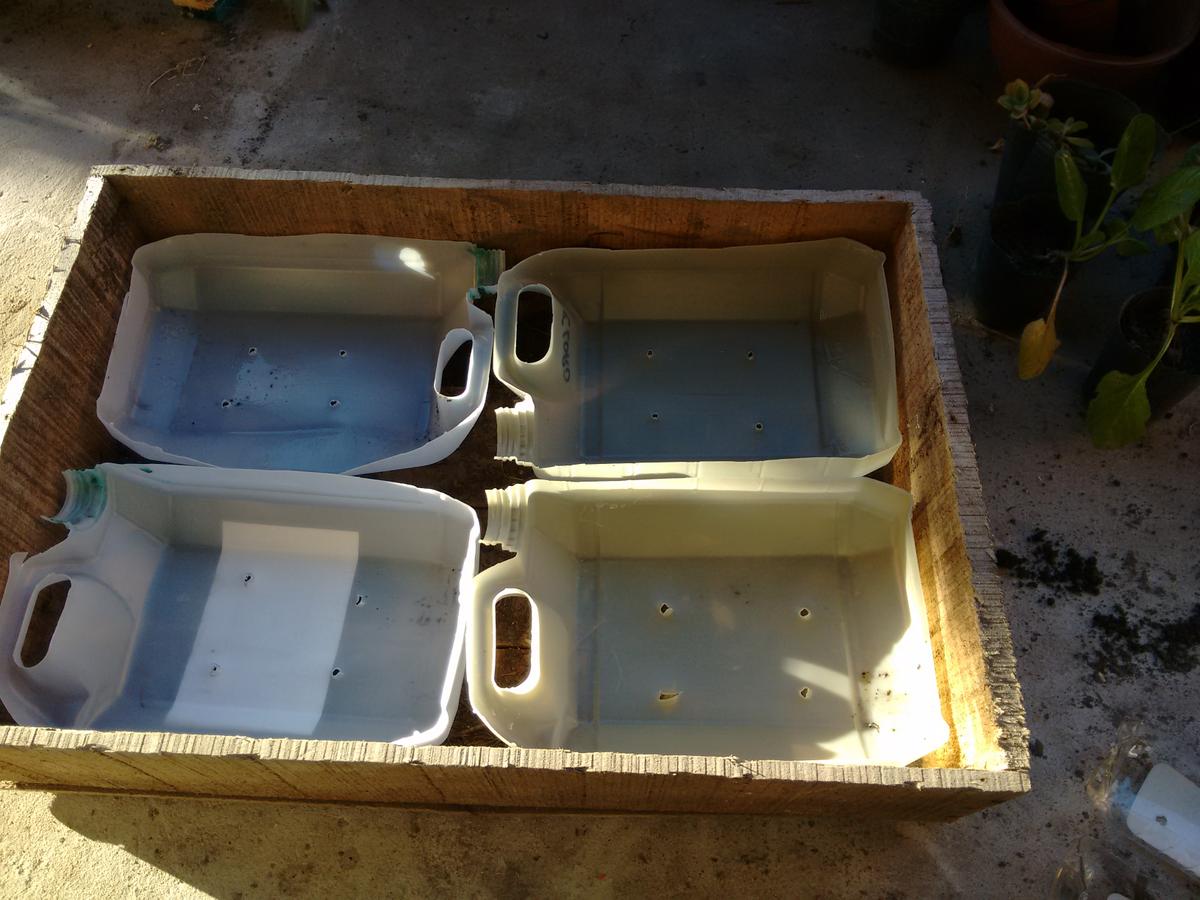 IMG_20160809_171908834