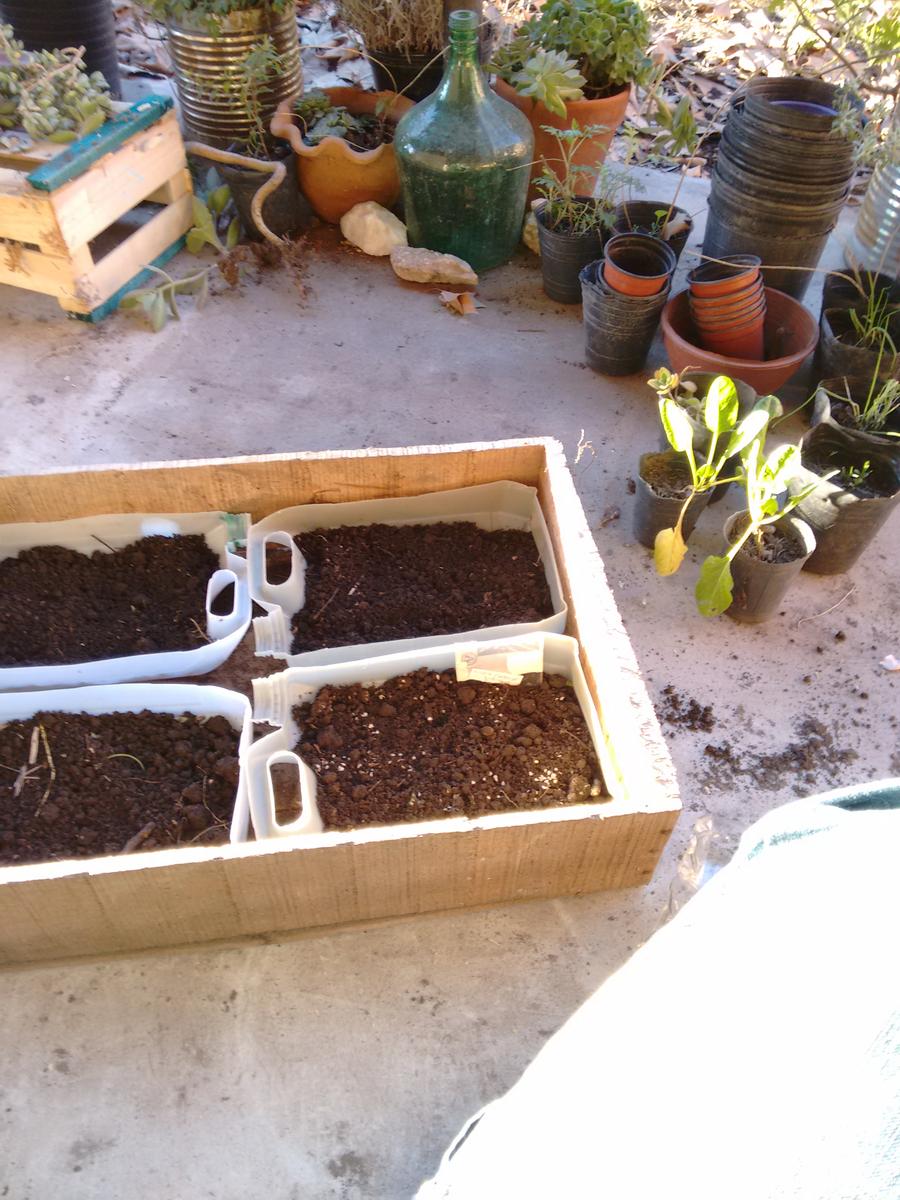 IMG_20160809_173438452