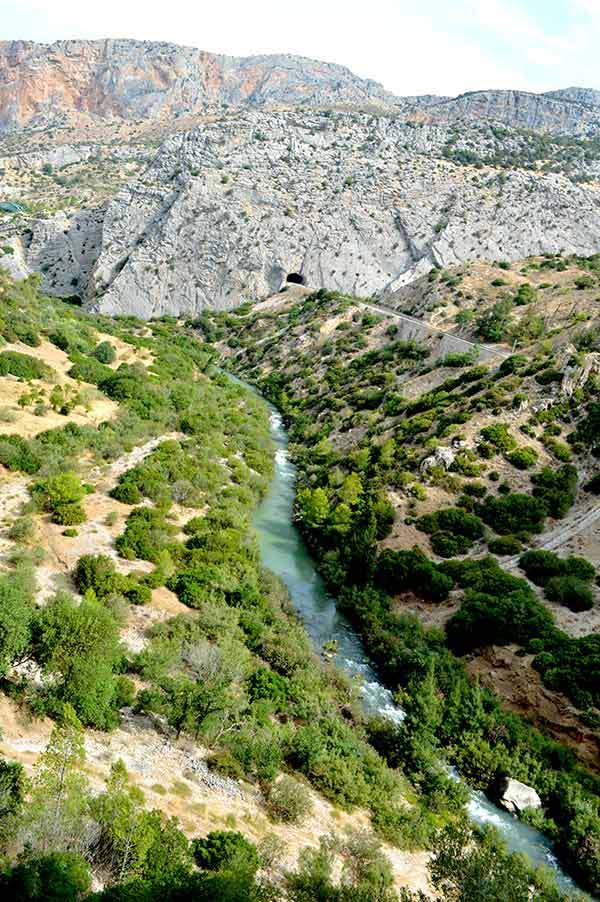 AYS-paseo-camino-malaga-27