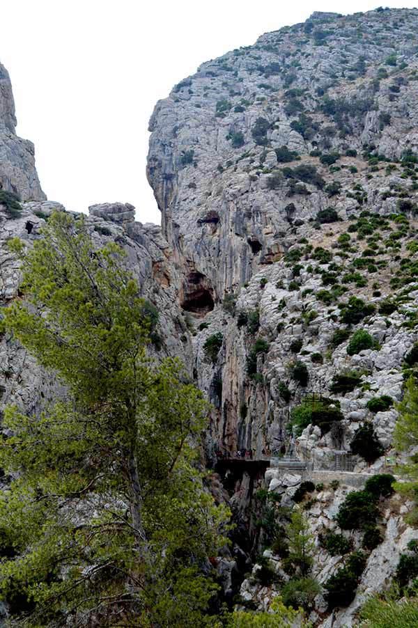 AYS-paseo-camino-malaga-3