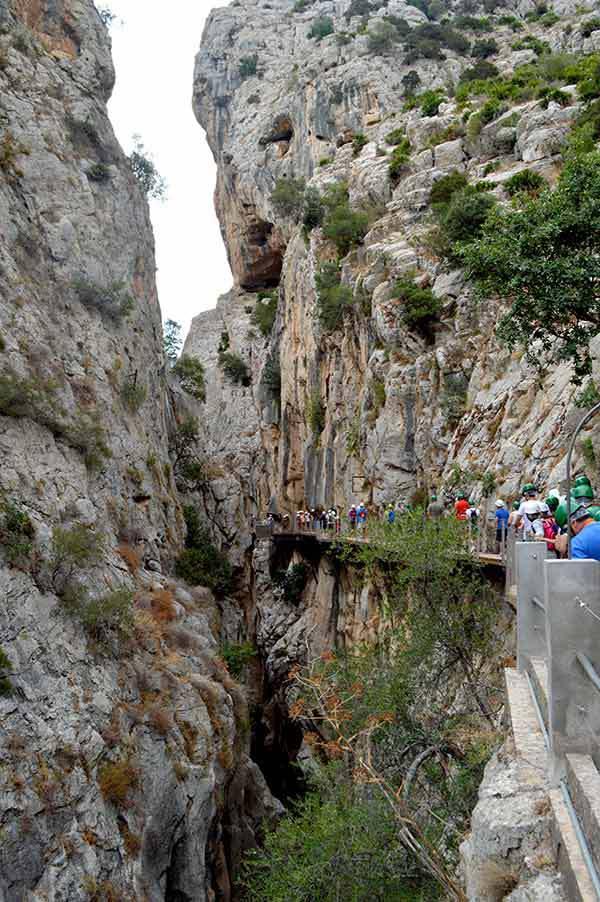 AYS-paseo-camino-malaga-6