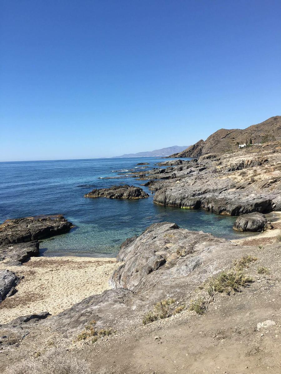 13396768_10210147092455329_1454971945_o